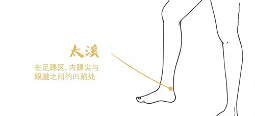 详细介绍