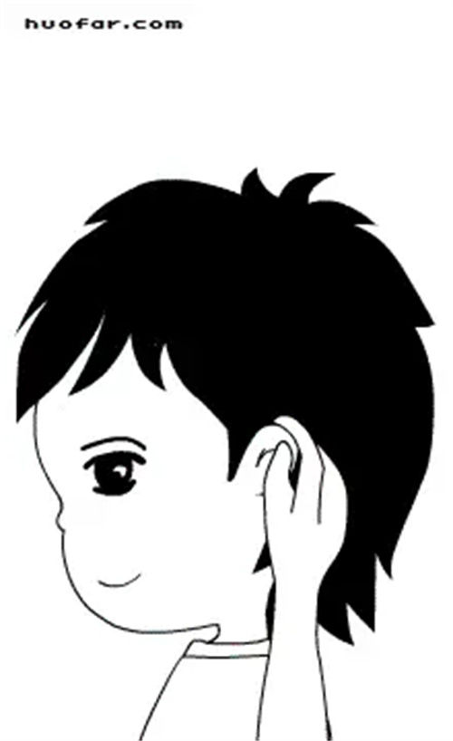 详细展示