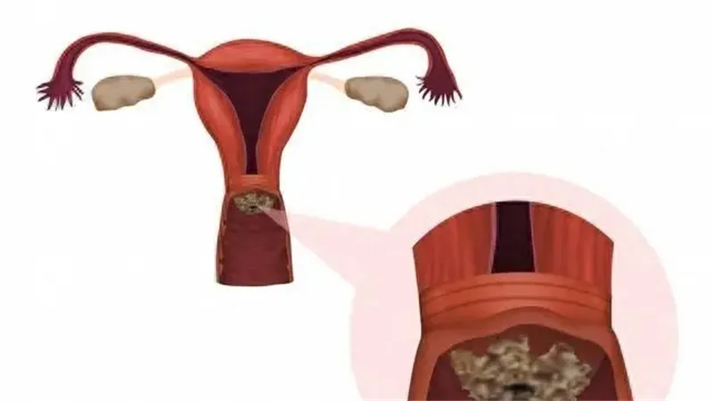 细节呈现